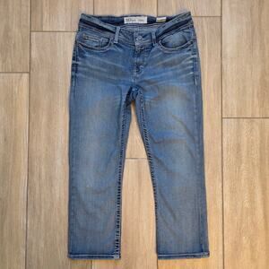 BKE Payton Cropped Jeans Size 30 Distressed Stretch Denim